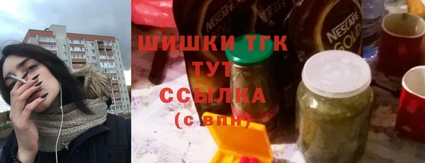 соль ск Новозыбков