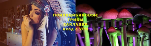прущие грибы Нея