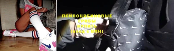 соль ск Новозыбков