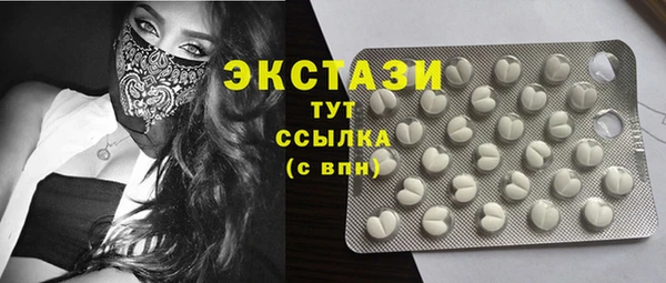 соль ск Новозыбков