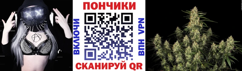 Шишки марихуана THC 21%  цена   Остров 